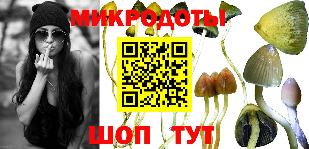 купить наркоту  Галлюциногенные грибы мухоморы  Вход с VPN  Керчь 